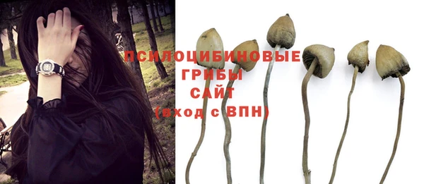 тгк Аркадак
