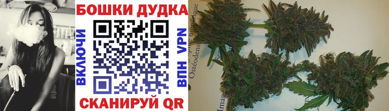 Конопля гибрид  Отрадный 